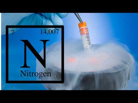 Nitrogen: From Stars to Soil