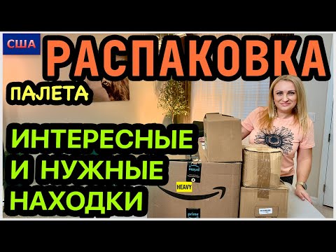 Wow, what interesting finds👍 and SUITABLE ones! Unpacking a $100 pallet. Amazon. USA, Florida.