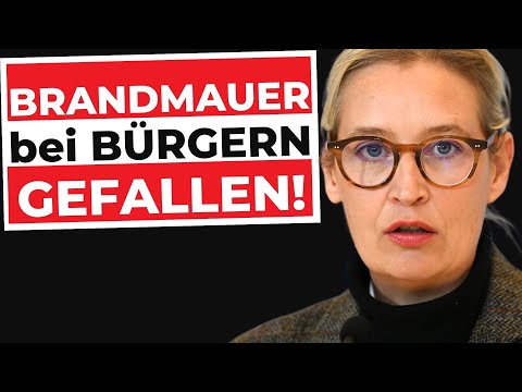 Associations are opening up to the AfD – government in panic mode!