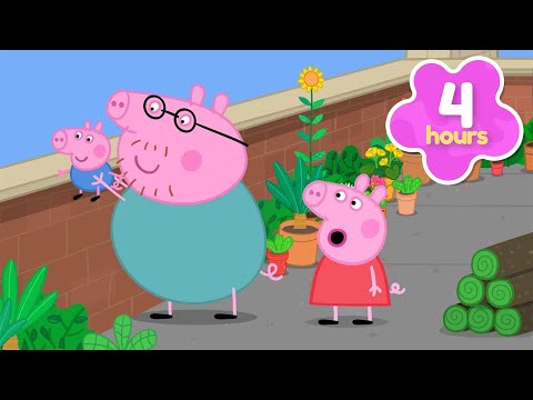 SECRET GARDEN on the Roof! ๐ชด Peppa Pig Full Episodes | 4 Hours