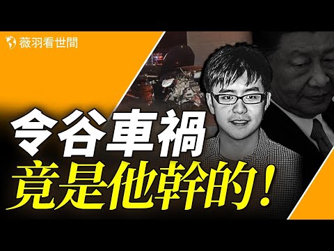 誰是令谷車禍的幕後黑手?他的父親竟是新四人幫的一員!胡錦濤驚覺自己被蒙在鼓裡!|薇羽看世間 第835期 20240304