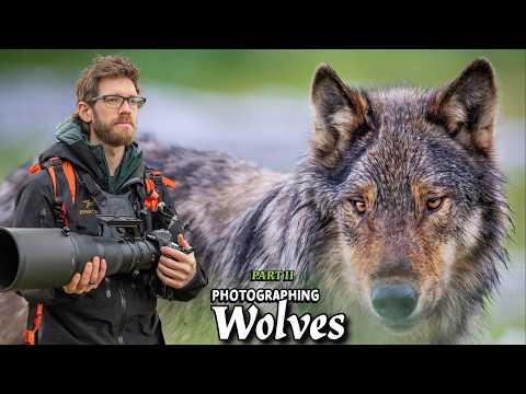 I Camped with SEA WOLVES on a Remote Vancouver Island Beach! - PART 2
