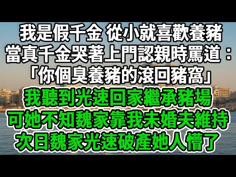 我是假千金 從小就喜歡養豬,當真千金哭著上門認親時罵道:「你個臭養豬的滾回豬窩」我聽到光速回家繼承豬場,可她不知魏家靠我未婚夫維持,次日魏家光速破產她人懵了#风起云涌 #爽文