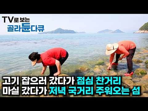 1년 365일 배고플 걱정 없다. 산책 갔다가 싱싱한 놈들 건져오는 바다 사람들 🌊1시간 몰아보기🌊|한국기행|#tv로보는골라듄다큐