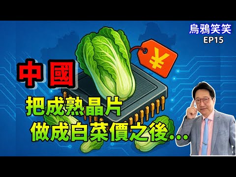 EP15 中國把成熟晶片做成白菜價之後...... 【CC字幕】