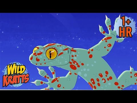The Gecko Effect | NEW COMPILATION | Animated Cartoons | Wild Kratts | 9 Story Kids