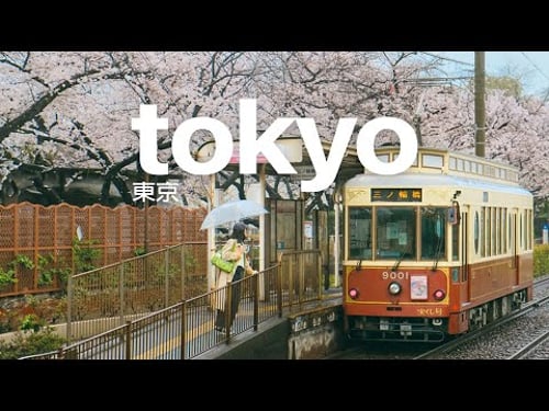 back in tokyo for spring