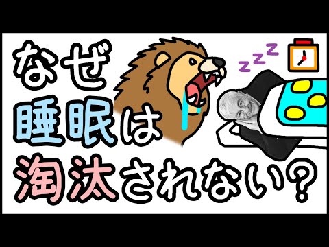 【超無防備】睡眠中は危険なのになぜ進化の過程で淘汰されないのか?【小学生でもわかる科学・ざっくり解説】
