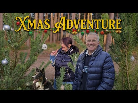 The Forest’s Secret Decorated Christmas Trees