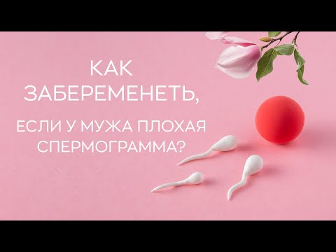 🧫 Как забеременеть, если у мужа плохая спермограмма?