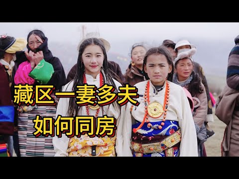 藏区一妻多夫 | 现状 | 原因 | 同房 |