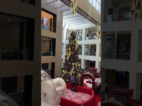 A Day of CHRISTMAS-CORE in San Salvador! #elsalvador #christmas #navidad