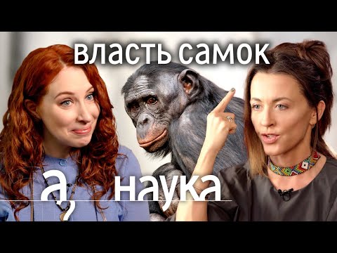 Утки-насильники, гиены - мужененавистницы, сурикатихи-убийцы. Что будет, если мир захватят женщины?