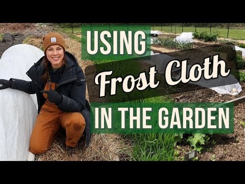 Using Frost Cloth and Hoops in the Garden