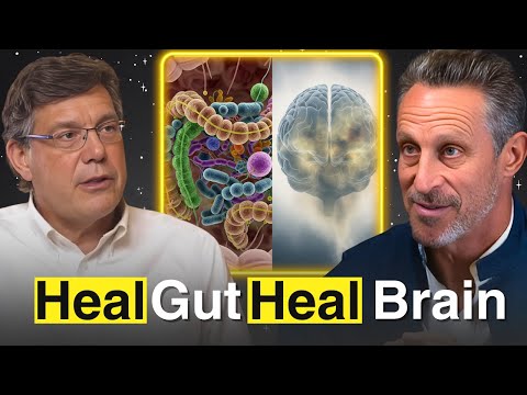 The #1 Toxin In Your Gut That Causes Brain Fog & Disease