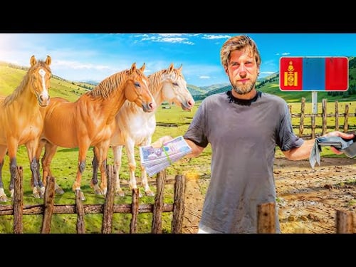I Bought a Horse in Mongolia π²π³