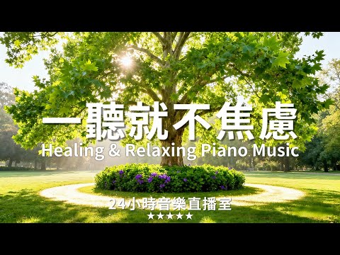 【Healing & Relaxing Piano Music】一聽就不焦慮!1 小時極致療癒鋼琴音樂,陽光灑落樹蔭下的鋼琴輕語,聽完這段純音樂焦慮壓力統統退散,給自己一段被音樂溫柔包裹的放鬆時光!