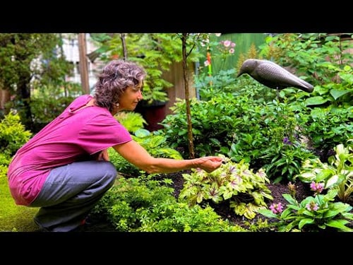 The secret held in her fairytale garden