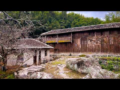 My grandparents' old house and yard/ I renovated into a beautiful villa/ DIY from start to finish
