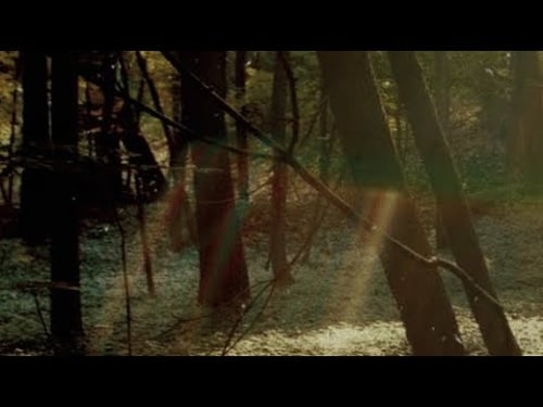 ๐ง๐พ๐บ๐๐๐ป๐พ๐บ๐ - ๐ข๐๐๐
๐ฝ๐๐๐ ๐ฆ๐บ๐๐ป๐๐๐ (๐ ๐๐๐๐ ๐ข๐)