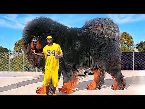 WEIRDEST Things NBA Players Actually Bought..