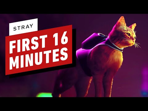 Stray: The First 16 Minutes of Gameplay on PS5 (4K)