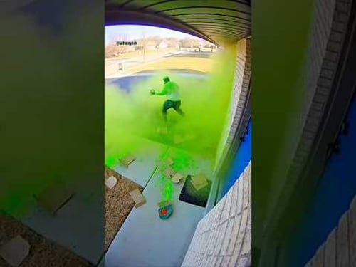 Green VS Blue: Porch Pirate Edition