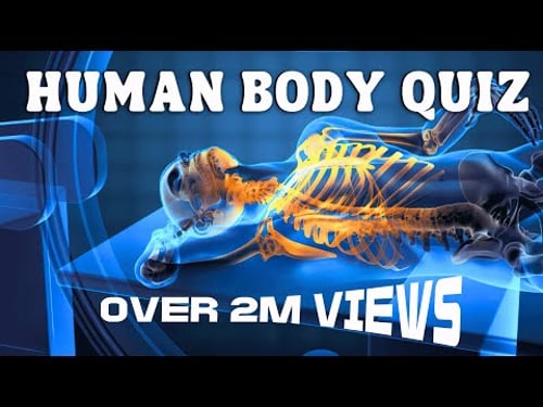 2 Million+ Views: Can YOU Pass the Human Body Quiz?