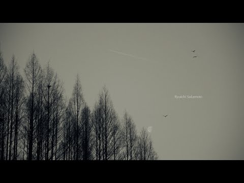 every moment of ryuichi sakamoto : opus l playlist