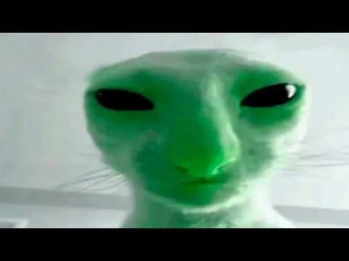 1 hour of memes but you will laugh every second