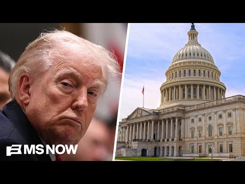 Should Democrats boycott the State of the Union? Some have alternative plans