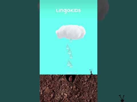 WHERE DO APPLES COME FROM? π Learn it with @Lingokids #lingokids #learning #forkids