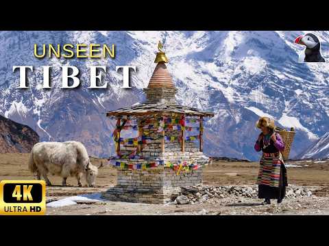 The Real Tibet Most People Will Never See | 4K Travel Documentary