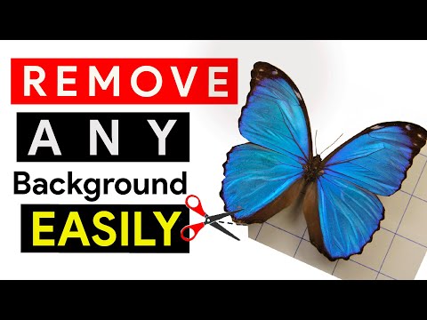 3 Ways To Cut Out Backgrounds In Procreate