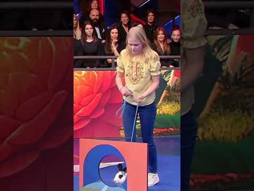 Record-breaking RAPID Rabbit