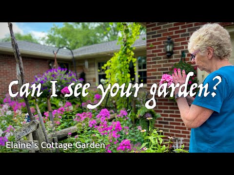 A Florist's Private Garden Investigated