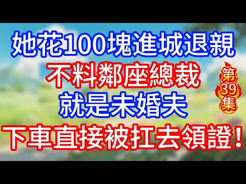 第39集:她花100塊進城退親,不料鄰座總裁就是未婚夫,下車直接被扛去領證!