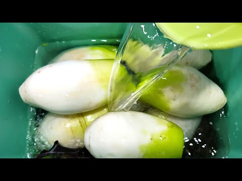 💚제발 동치미에 배사과 넣지 마세요 딱 이것만 넣으세요 엄마가 해주던 그맛그대로!