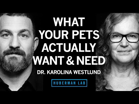 What Pets Actually Want & Need | Dr. Karolina Westlund