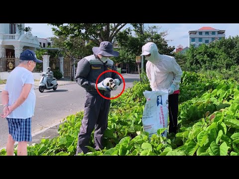 Horrible we found a Human Skull while cleaning the sidewalk