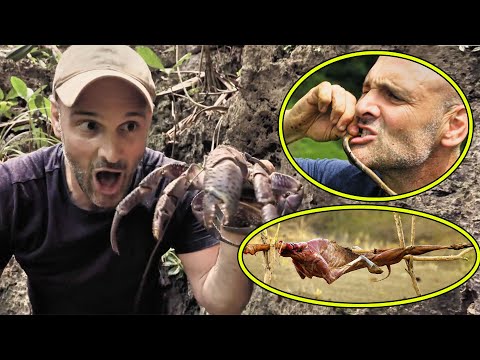 Not Only Does He Eat Wild Coconut Crabs, But He Also Enjoys Venomous Snakes As Sashimi!