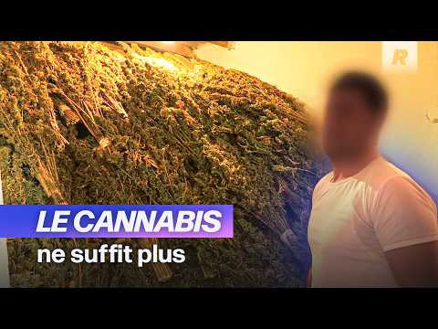 Au Maroc, ces producteurs au bord de la précarité