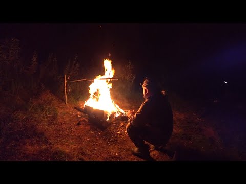 ПОКЛЁВКИ ПАРОВОЗ, ТАКОЕ У МЕНЯ В ПЕРВЫЕ! ФИДЕР ПРОТИВ ДОНОК \ ЖЕЛАННЫЙ ТРОФЕЙ, РЫБАЛКА С НОЧЁВКОЙ!