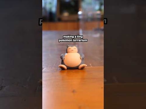 a tiny Pokémon terrarium