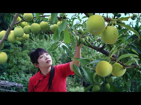 【二米炊烟】Peas 一顆豌豆的千萬種變化,能從冬天吃到夏天