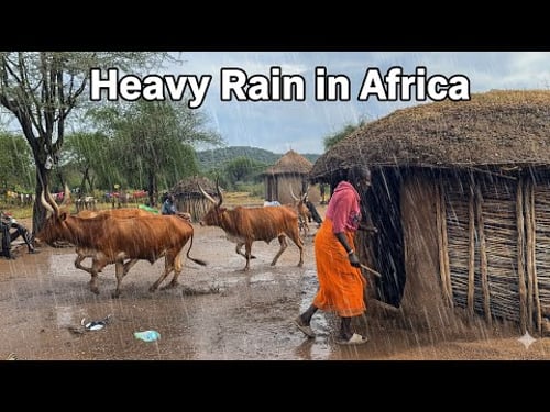 Heavy Rain in an African Traditional Homestead/Homemade Goats soup for this Cold Weather