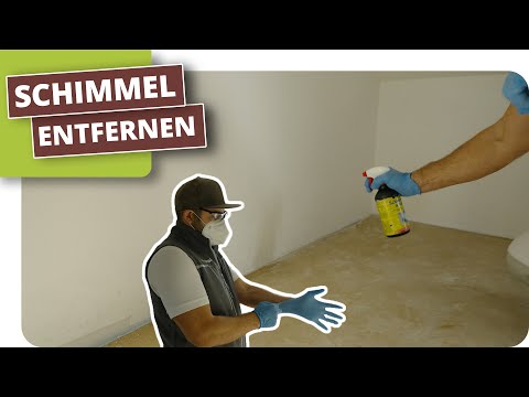 Schimmel effektiv entfernen