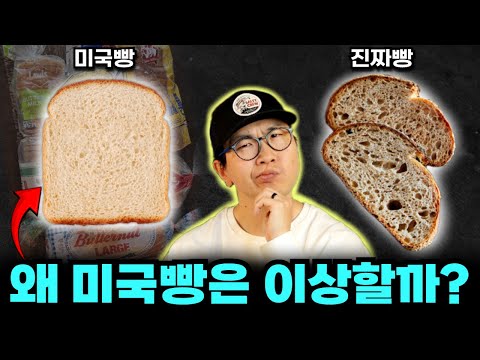 미국에서 밀가루 음식을 먹으면 배가 아픈 진짜 이유 (한국인이라서 아님)