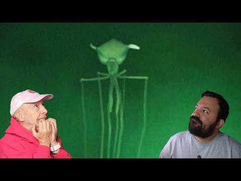 Divers React to Scariest Videos Caught By Divers