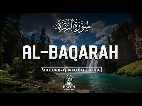 Surah Al-Baqarah (سورة البقرة) | Soothing Quran Tilawat for Healing, Barakah & Peace |